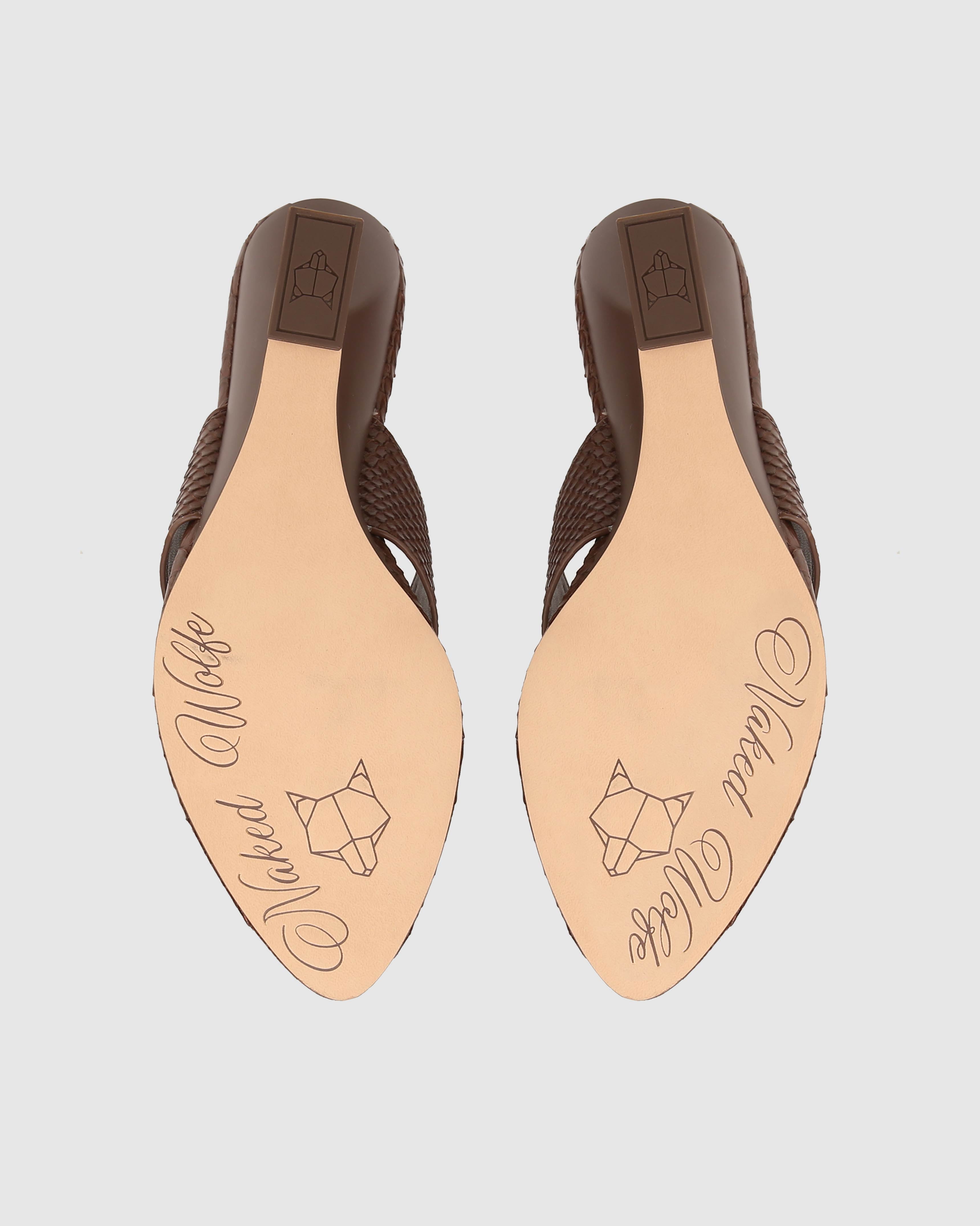 Stampede Brown Snake