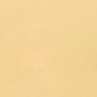 Sculpted Spade Studs