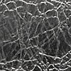 Kayla Small Swingpack