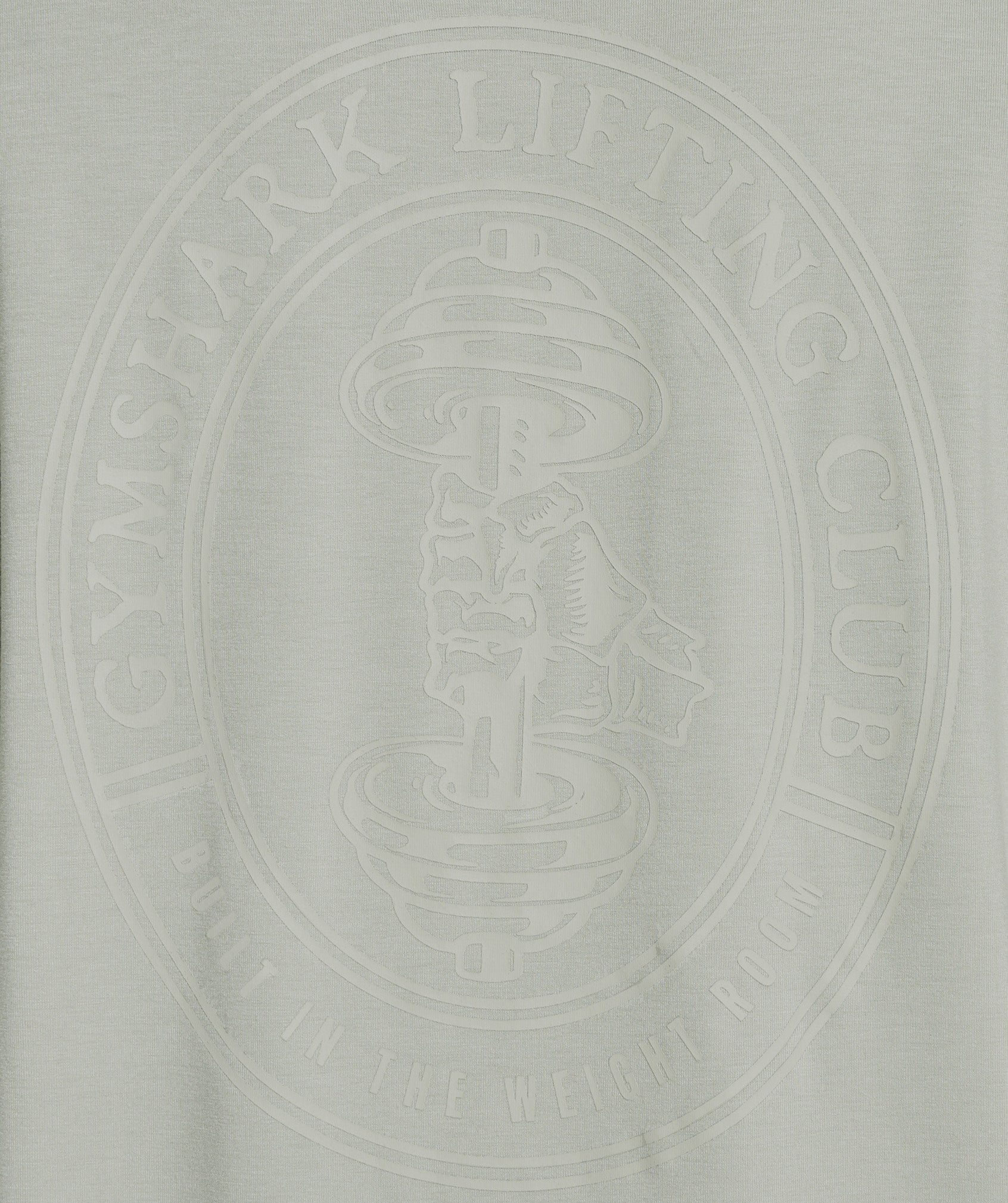 Gymshark Superset Graphic T-shirt - Stone Grey