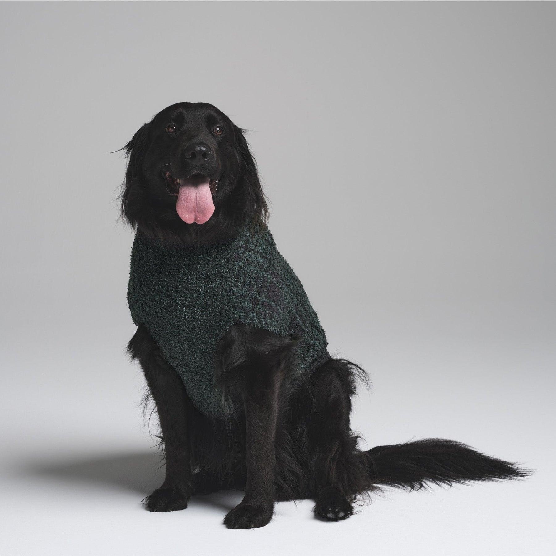 COZY KNIT PET SWEATER | CYPRESS PLAID