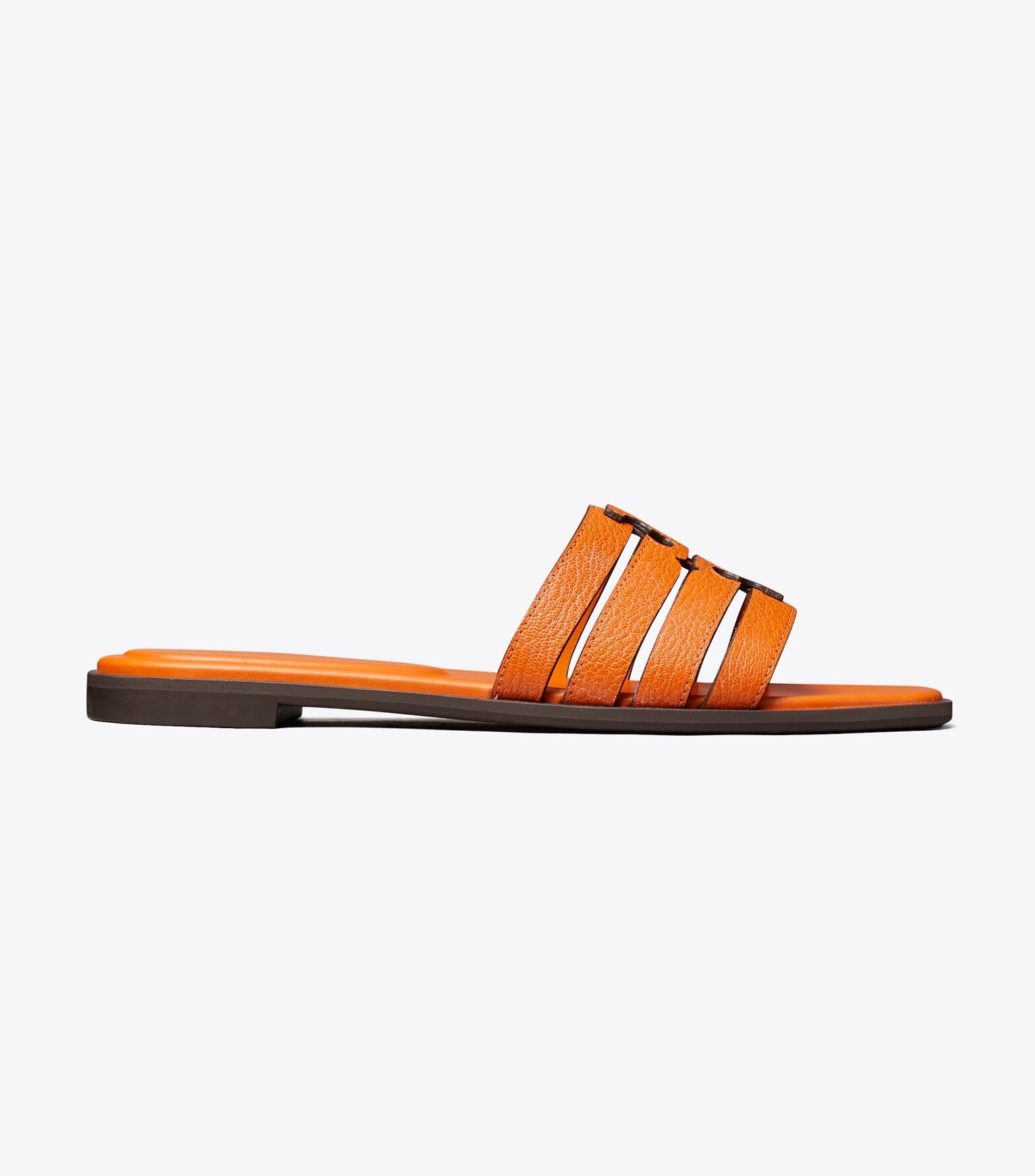 Ines Slide — Part 2