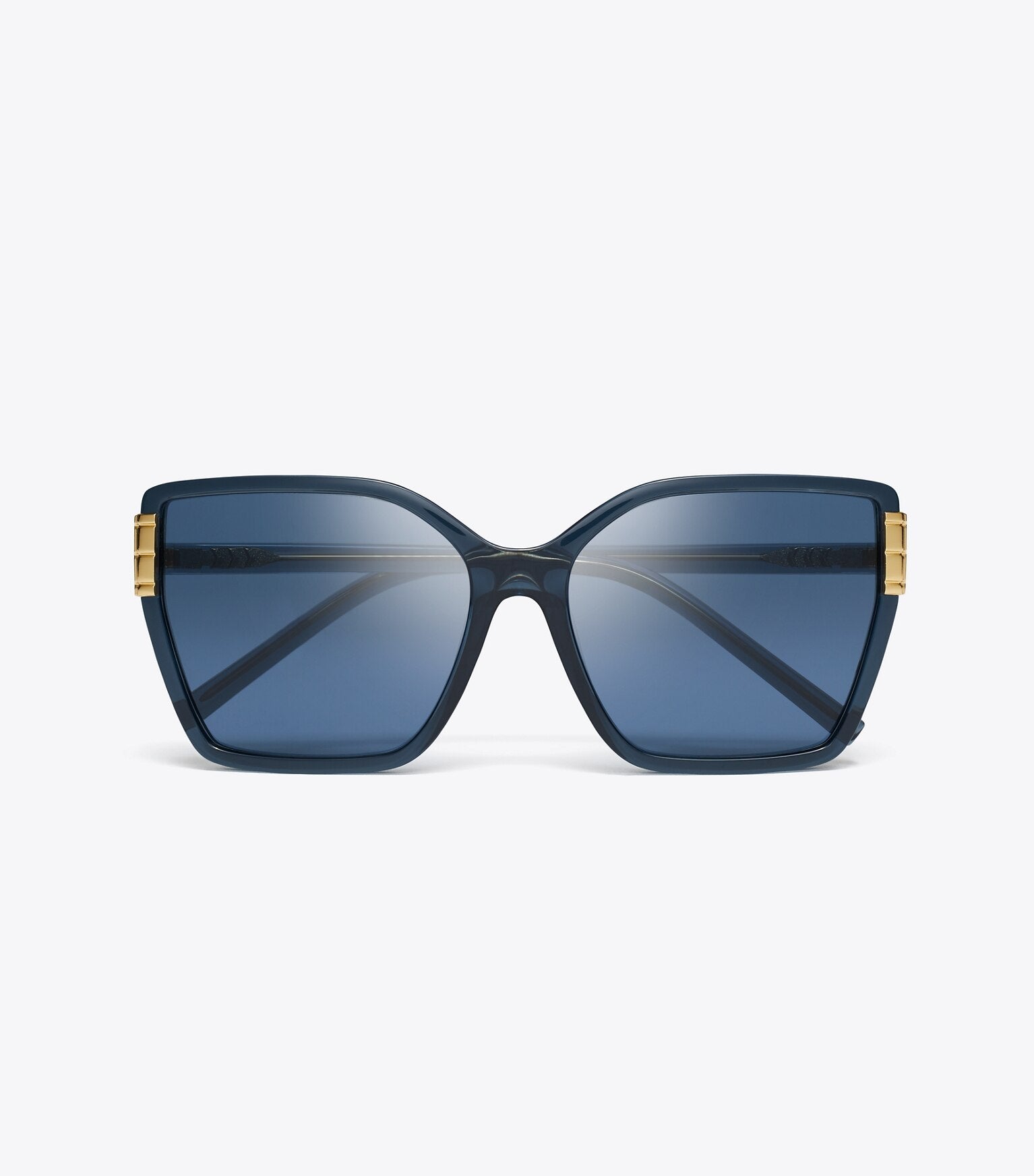 Eleanor Oversized Cat-Eye Sunglasses