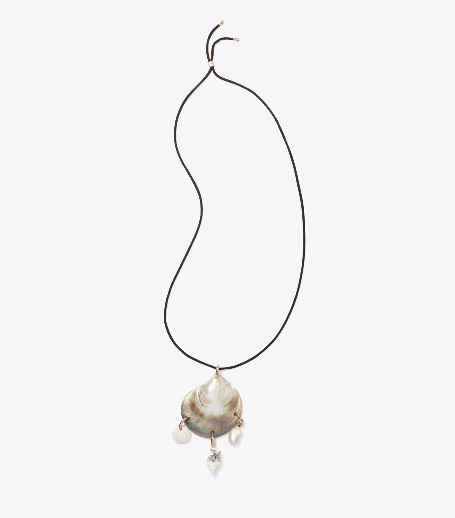 Curiosity Shell Pendant Necklace