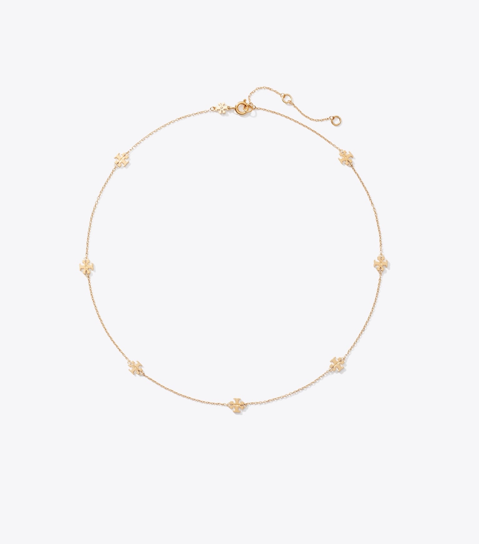 Delicate Icon Necklace