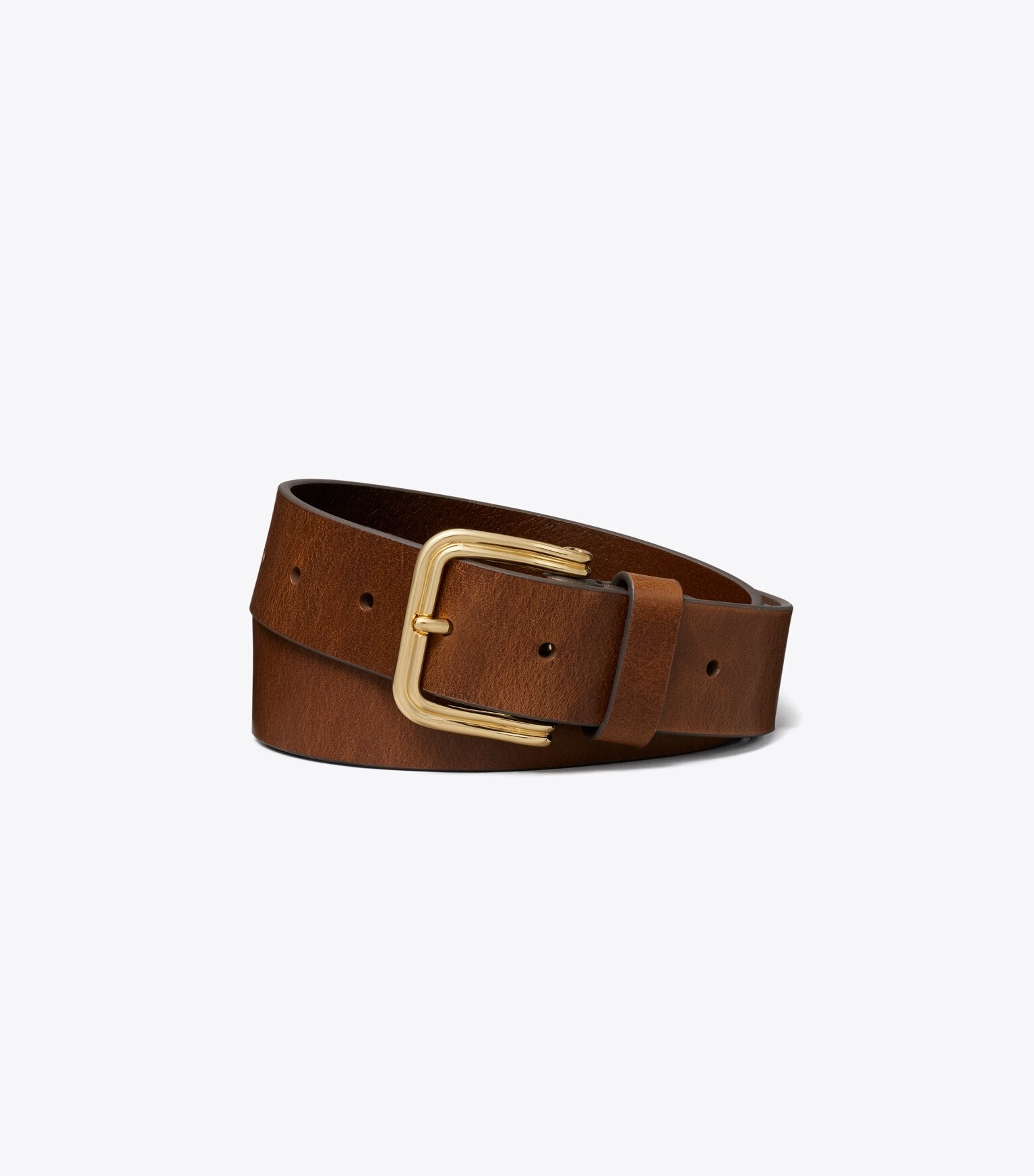 Double Wire Buckle Belt
