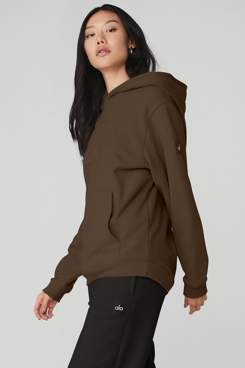 Renown Heavy Weight Hoodie