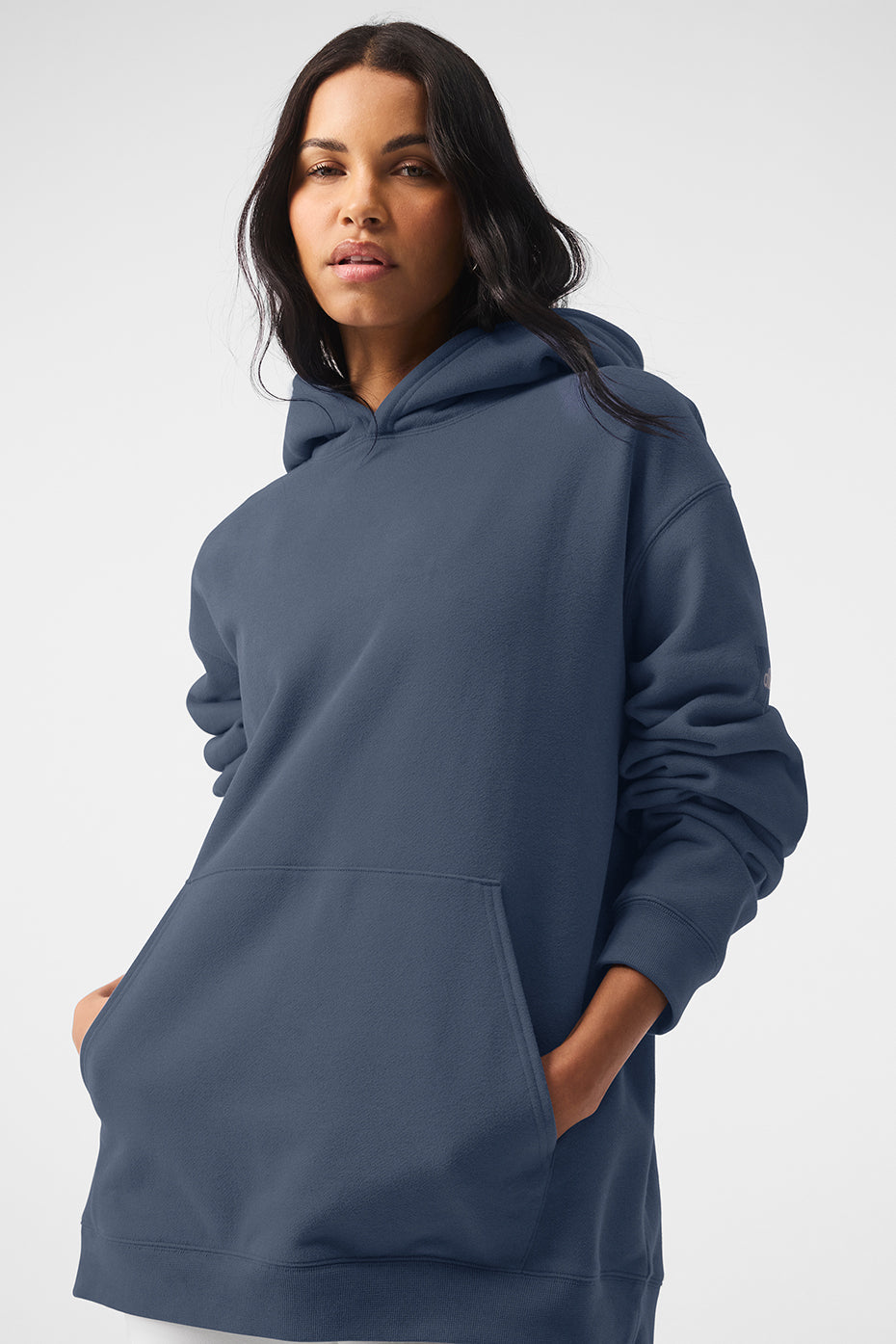Renown Heavy Weight Hoodie