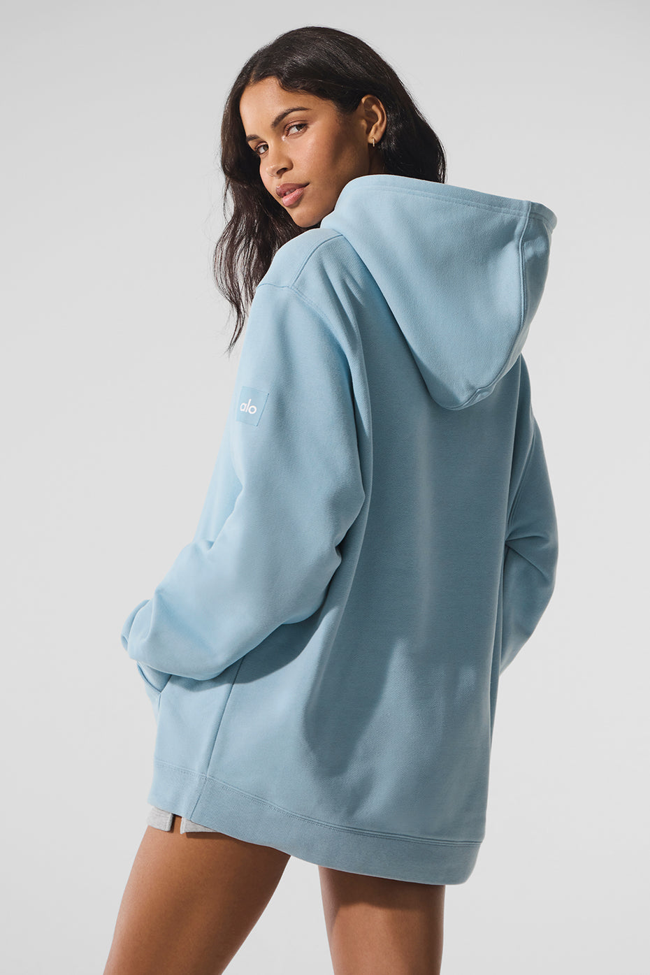 Renown Heavy Weight Hoodie