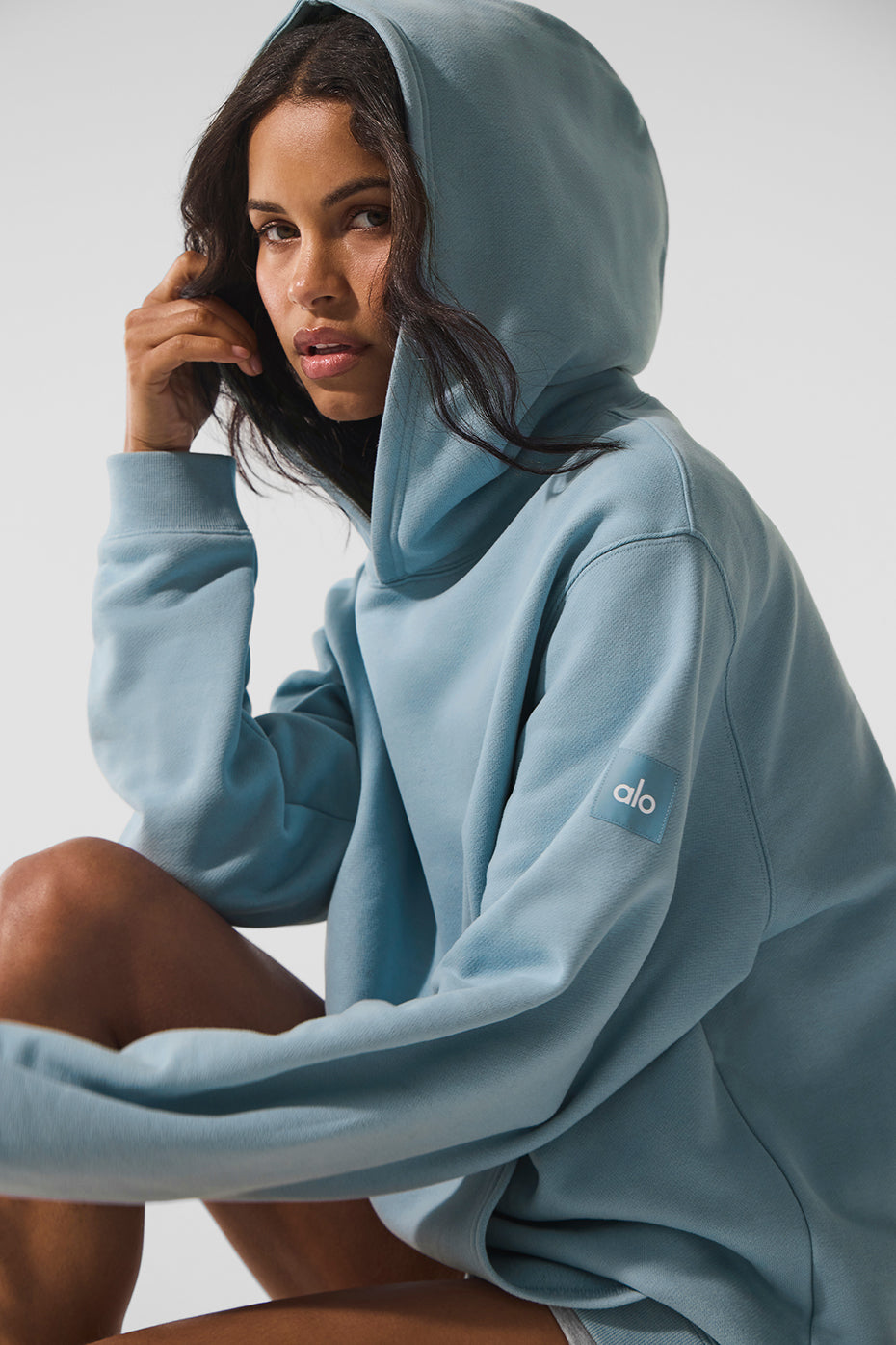 Renown Heavy Weight Hoodie