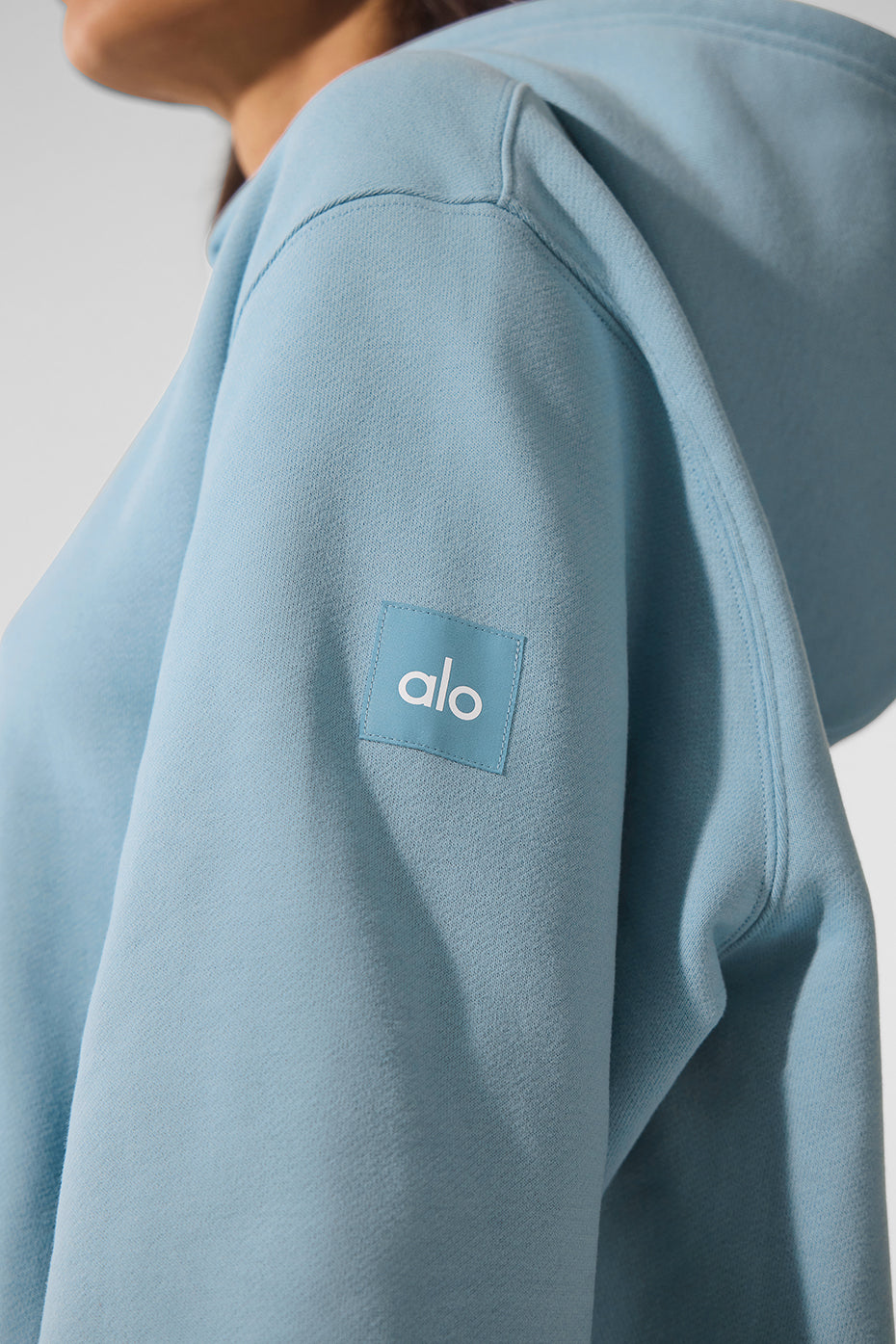 Renown Heavy Weight Hoodie