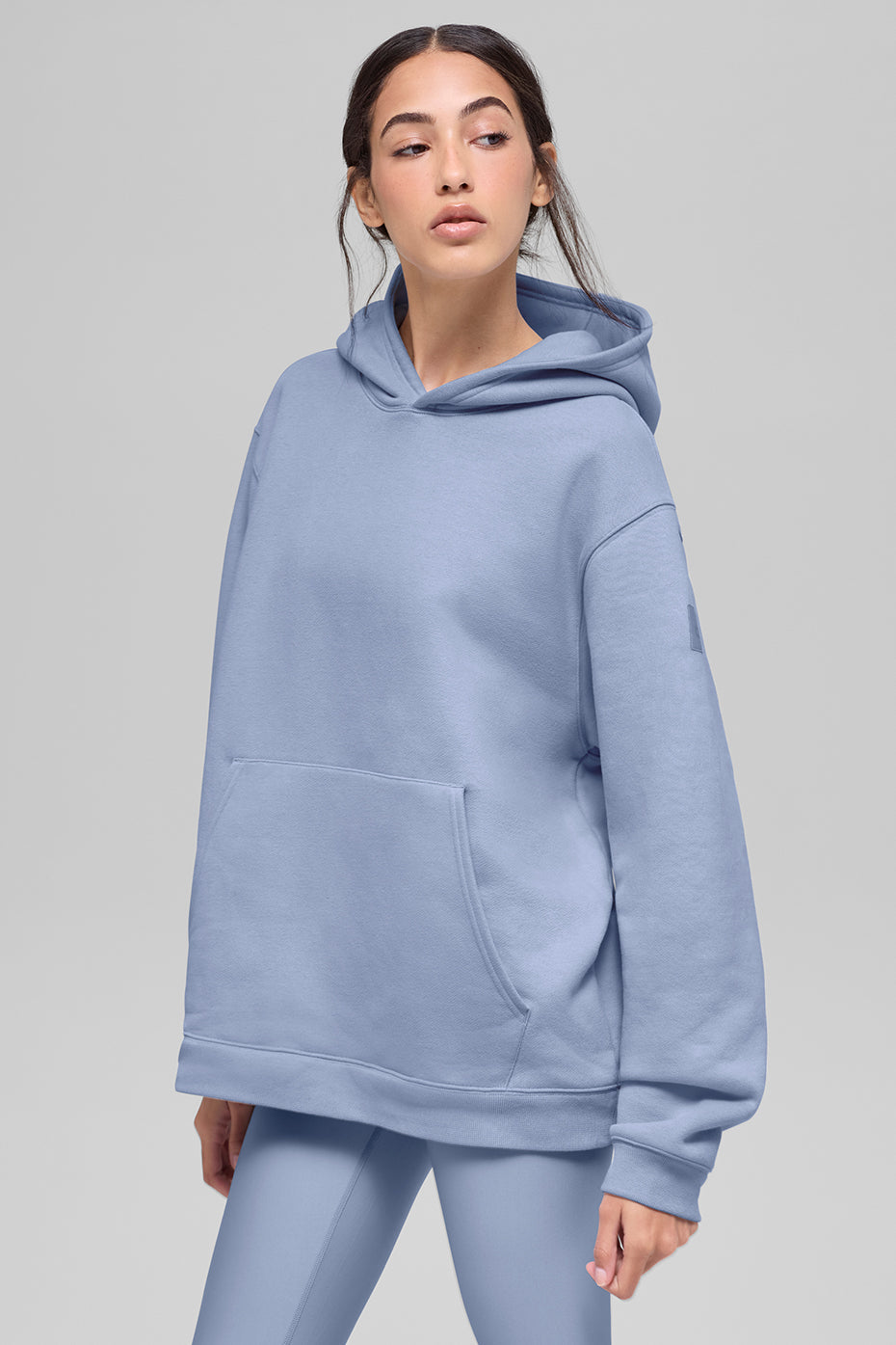 Renown Heavy Weight Hoodie