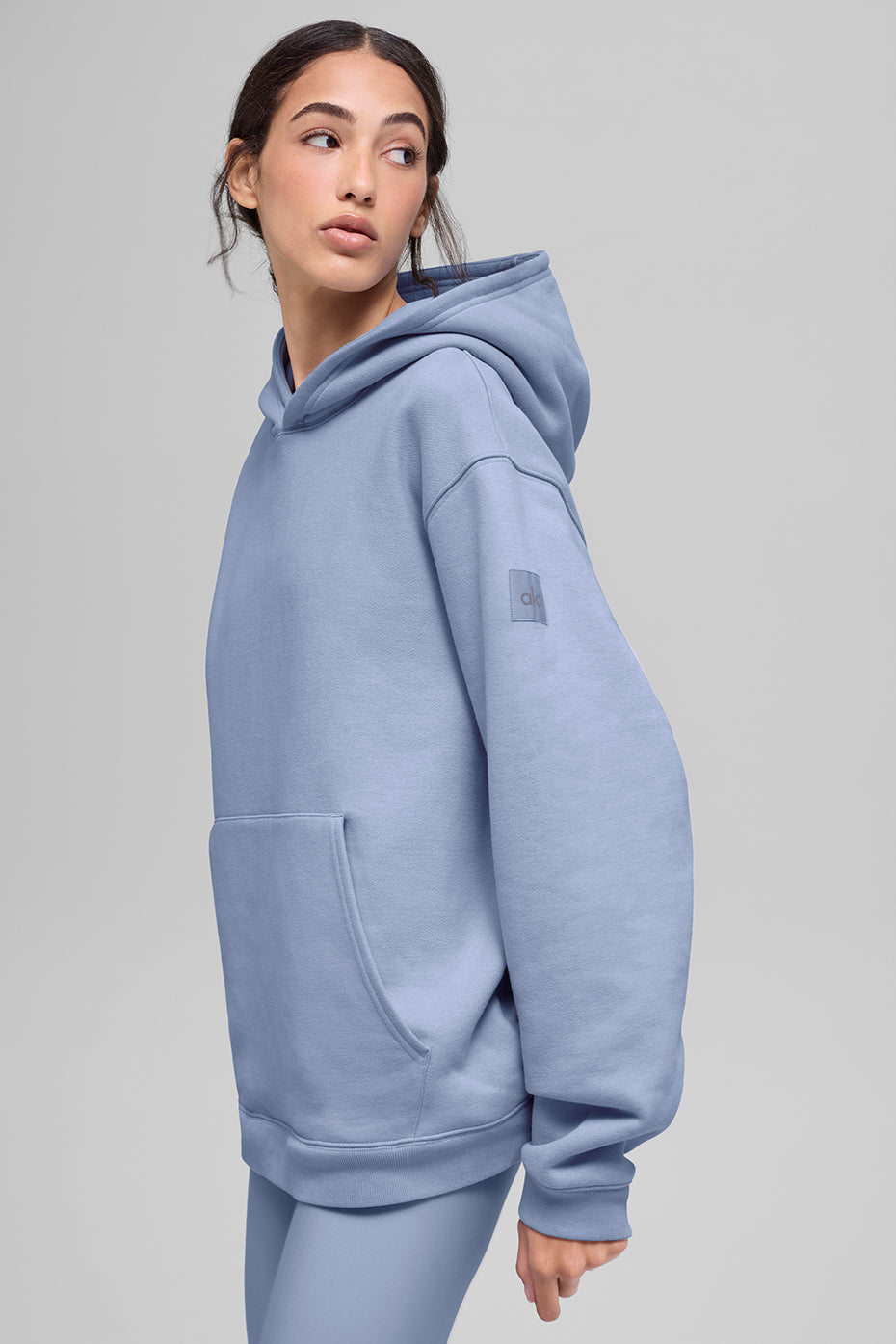 Renown Heavy Weight Hoodie