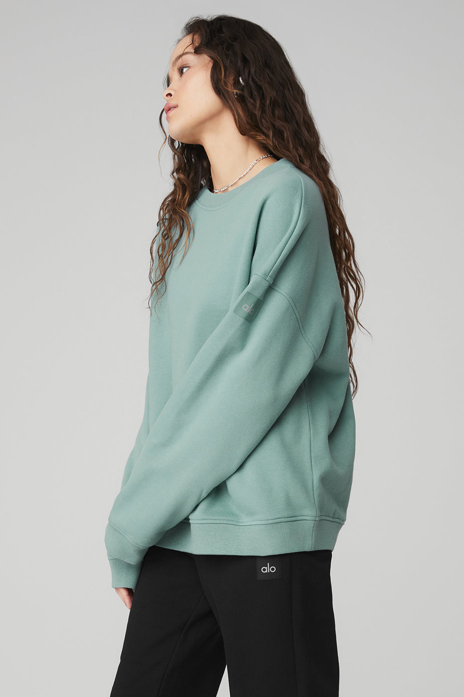 Renown Heavy Weight Crew Neck Pullover