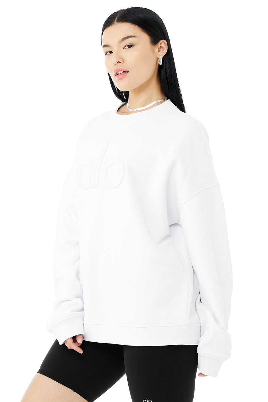 Renown Heavy Weight Emblem Crew Neck Pullover