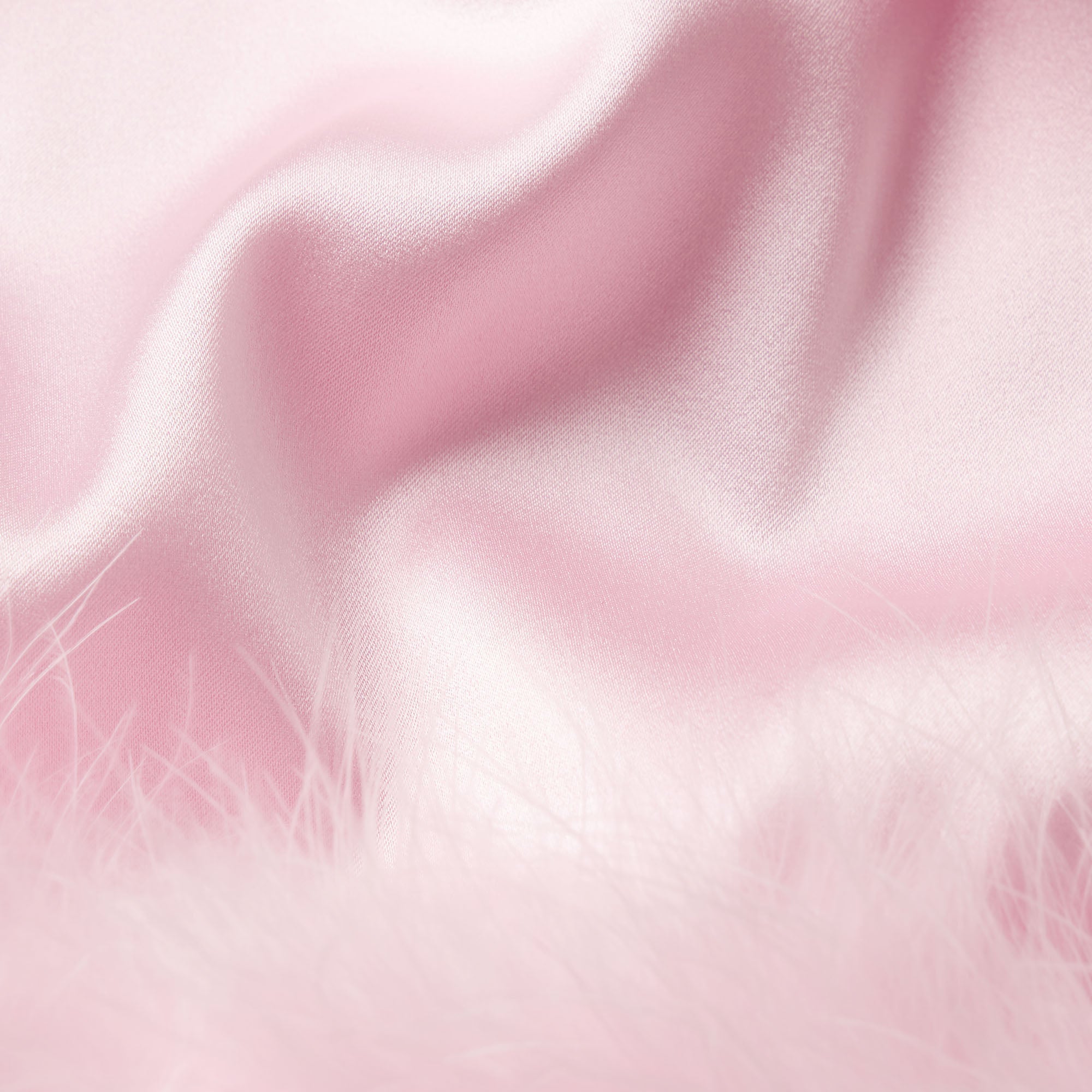 Silk Feather Trim Gloves