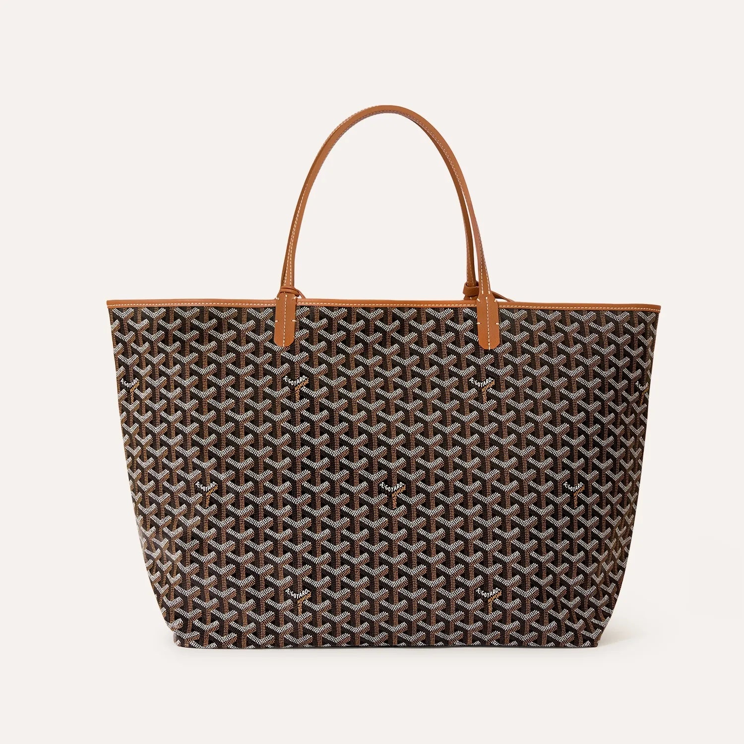 Saint Louis GM Bag