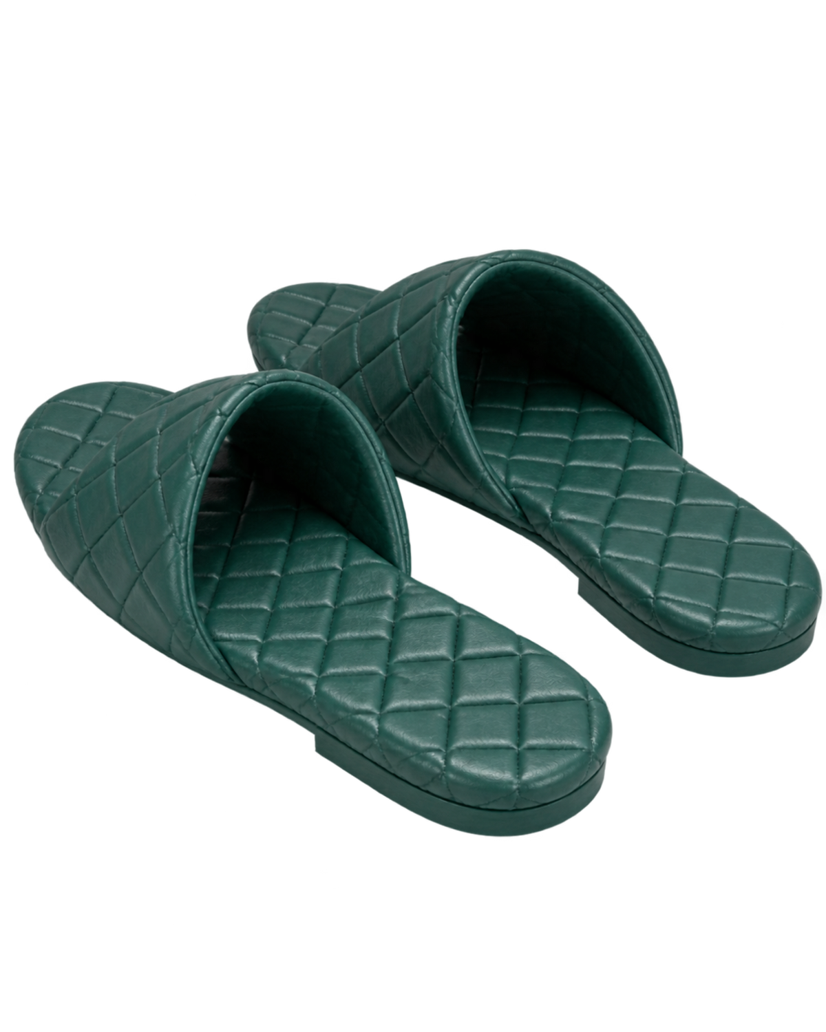 Bottega Venetta Amy's flat shoes