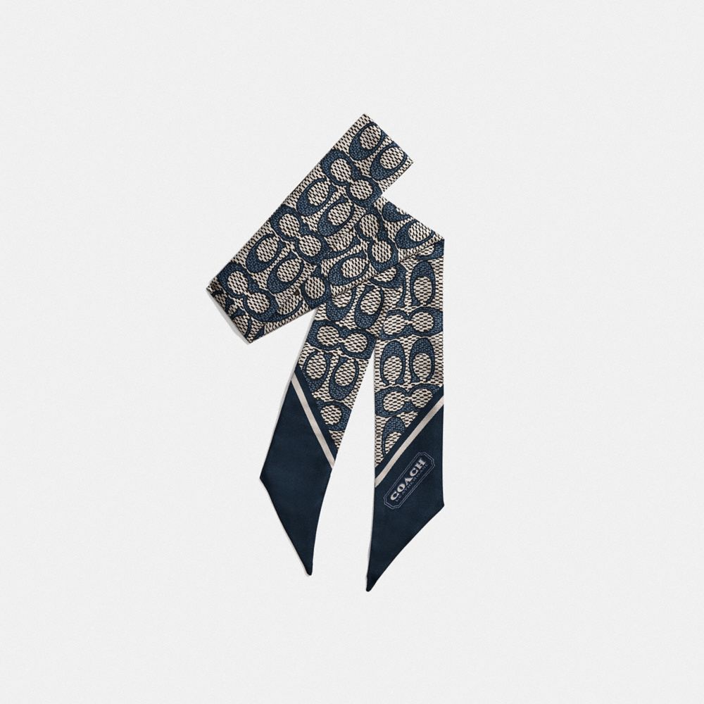 Textured Signature Print Silk Skinny Scarf