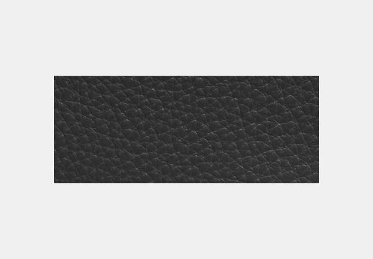 Snap Wallet