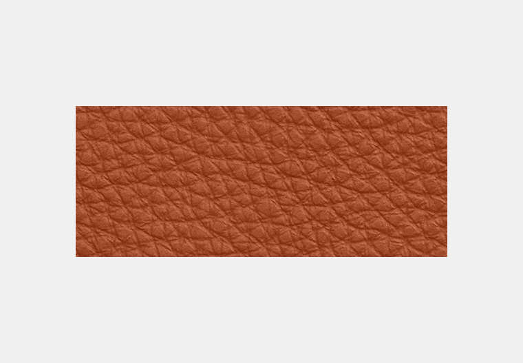 Zip Card Case