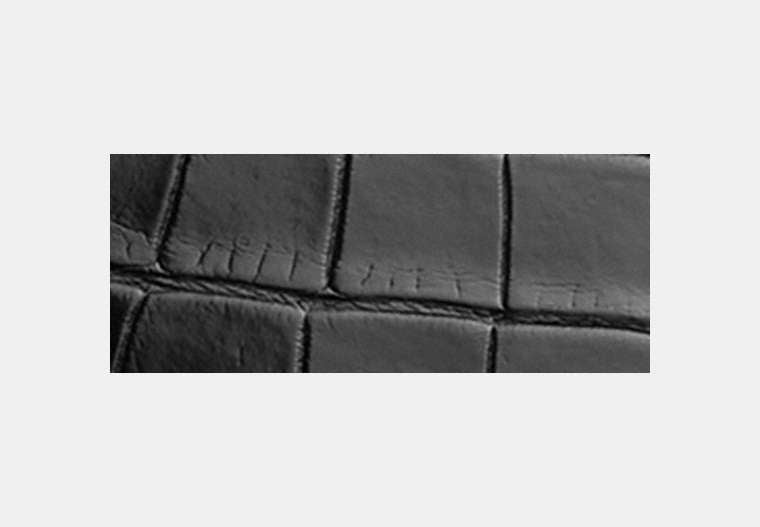 Rogue Bag In Alligator