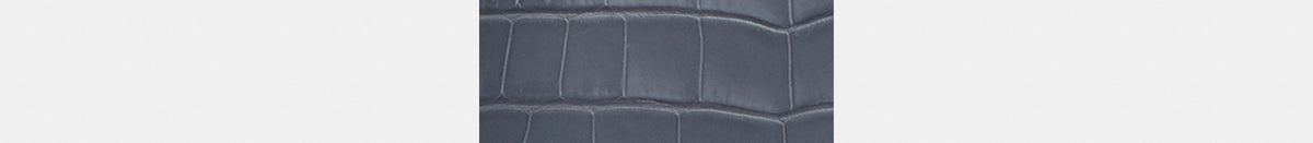Rogue Bag 25 In Alligator