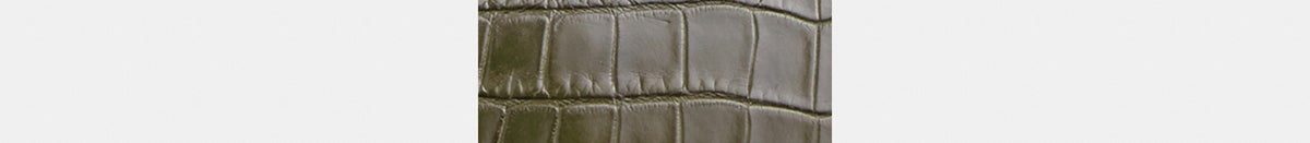 Rogue Bag 25 In Alligator