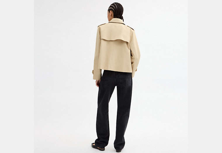 Short Trench