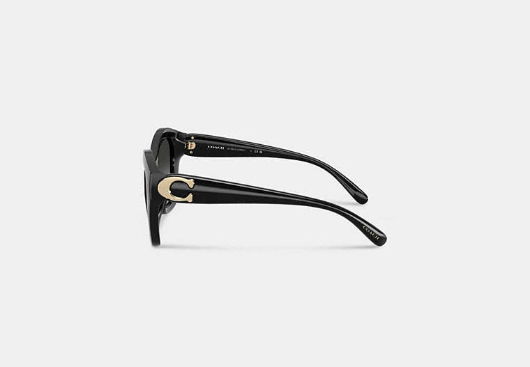 Maxi Sculpted C Oversized Geometric Sunglasses