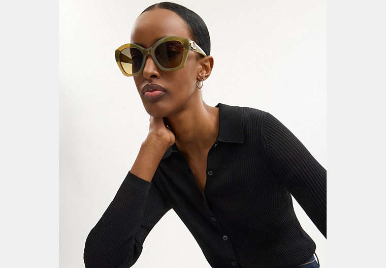 Maxi Sculpted C Oversized Geometric Sunglasses