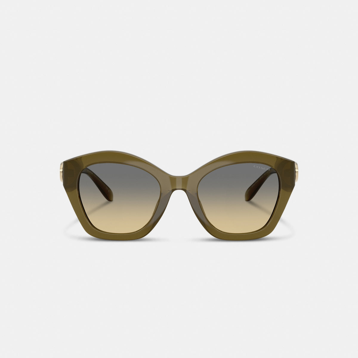 Maxi Sculpted C Oversized Geometric Sunglasses
