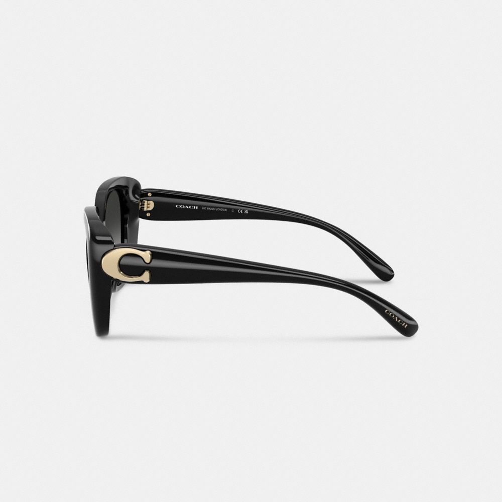Maxi Sculpted C Oversized Square Sunglasses