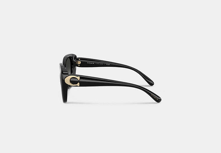 Maxi Sculpted C Oversized Square Sunglasses