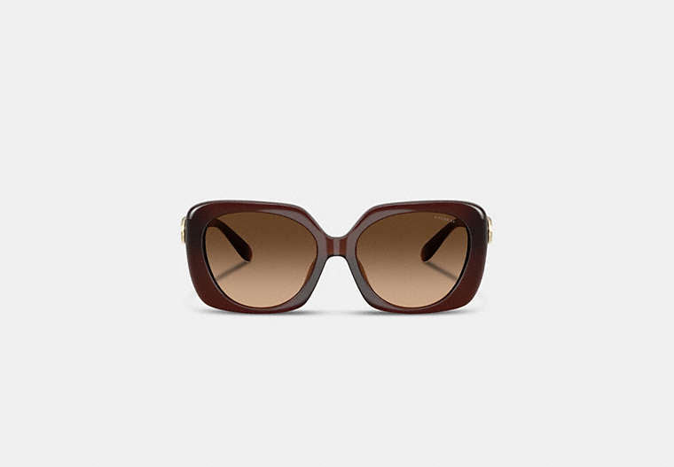 Maxi Sculpted C Oversized Square Sunglasses