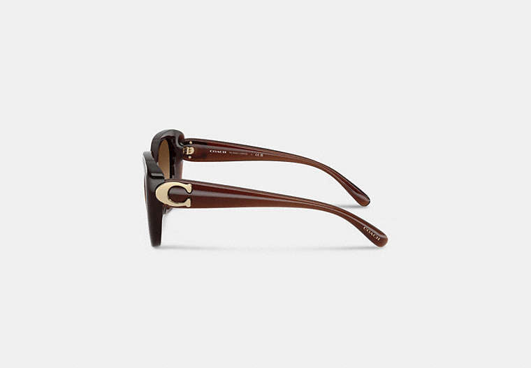 Maxi Sculpted C Oversized Square Sunglasses