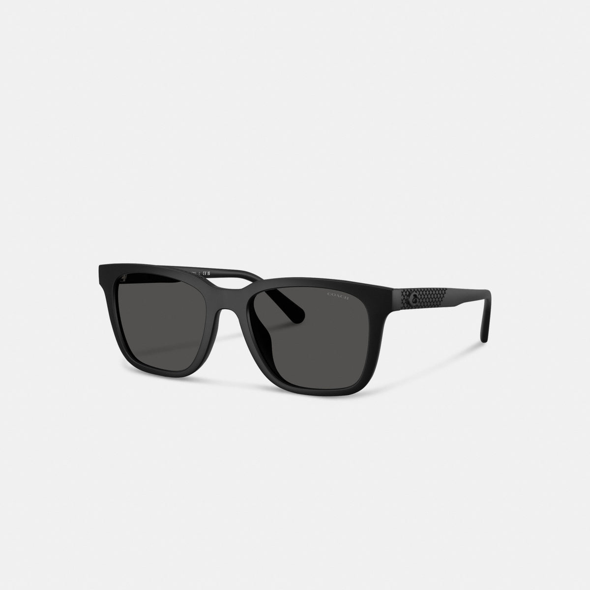 C Hardware Textured Temple Square Sunglasses