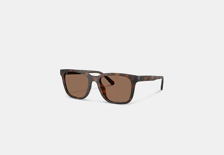 C Hardware Textured Temple Square Sunglasses