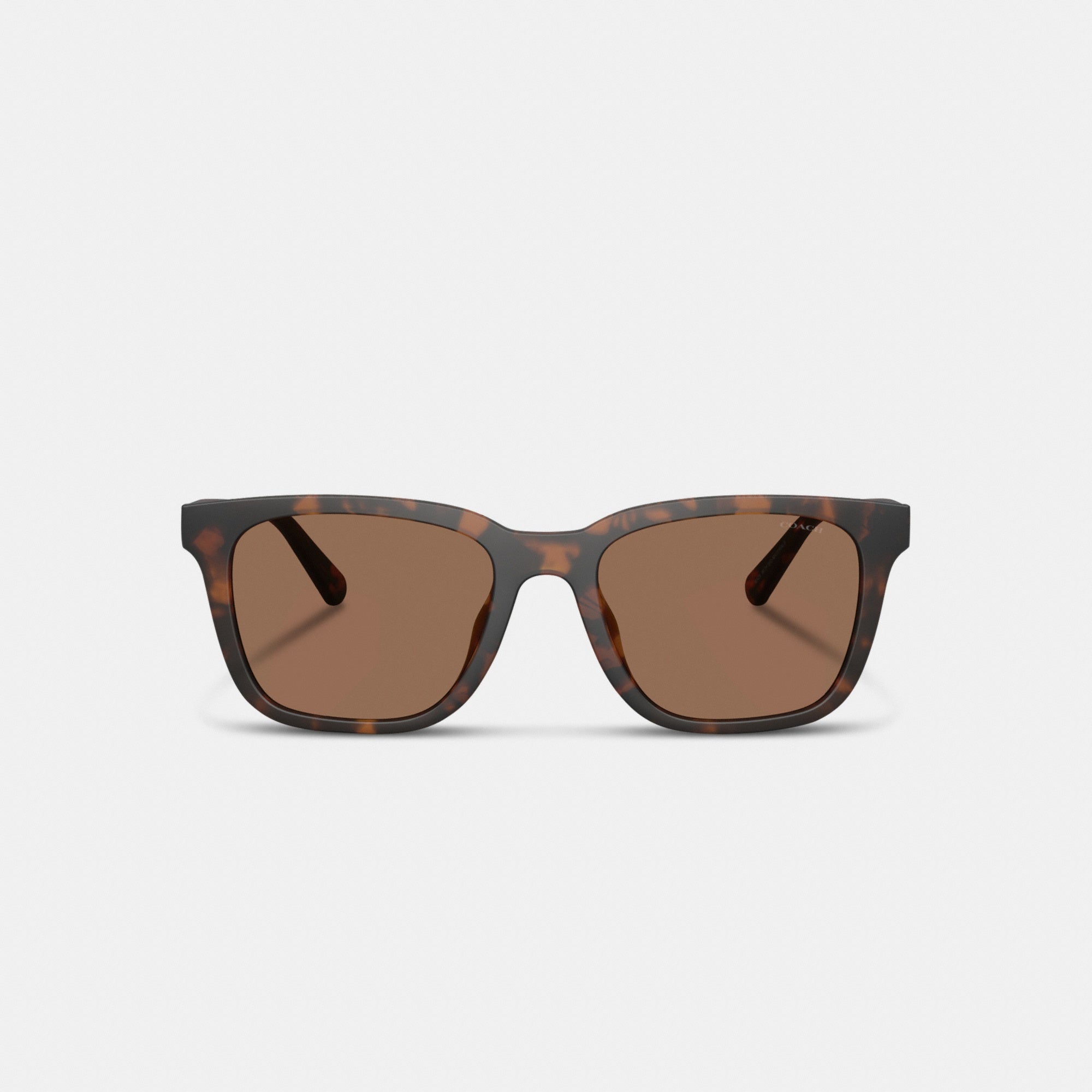 C Hardware Textured Temple Square Sunglasses