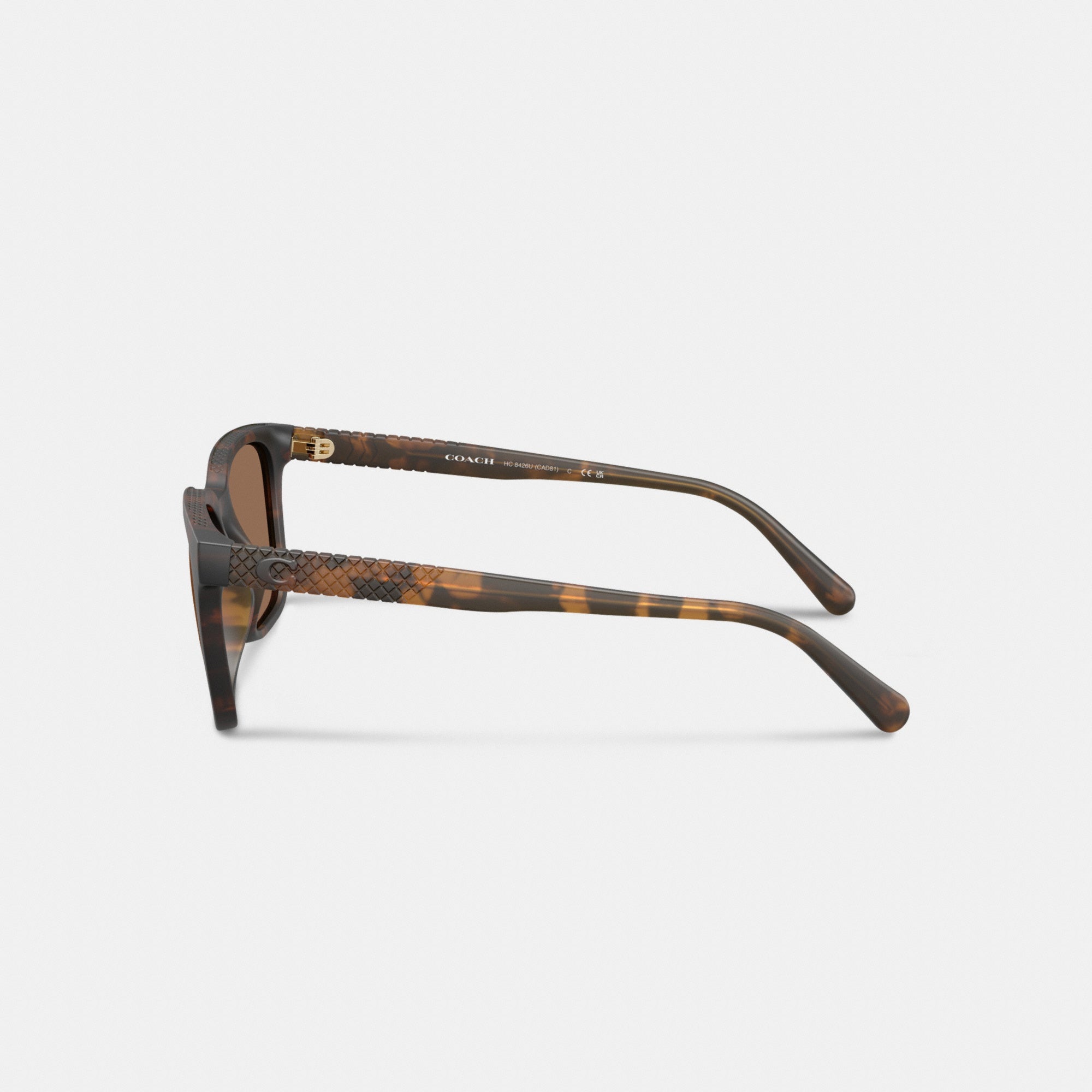 C Hardware Textured Temple Square Sunglasses