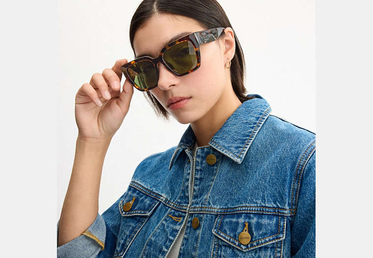 Oversized Cat Eye Sunglasses