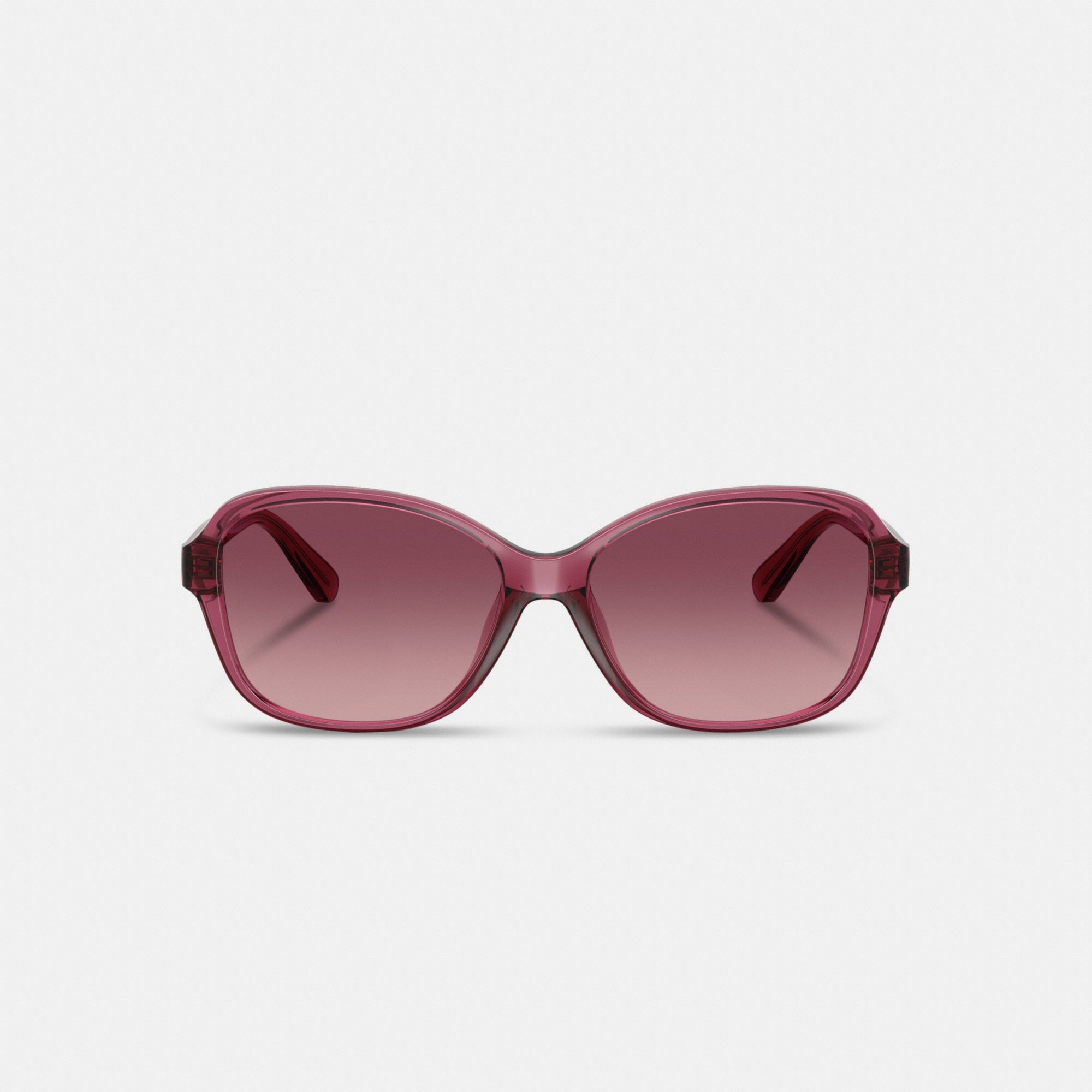 Oversized Oval Sunglasses