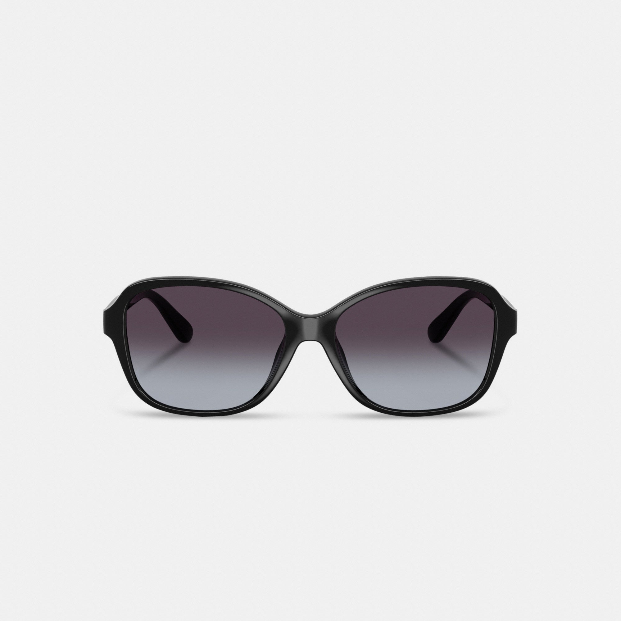 Oversized Oval Sunglasses