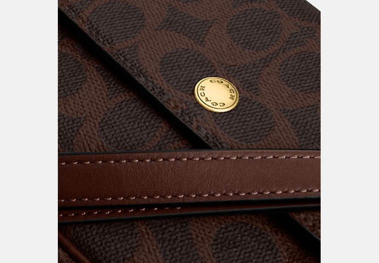 Brook Flap Chain Bag In Signature Canvas