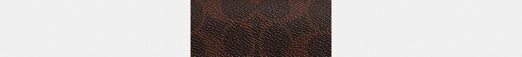 Brook Flap Chain Bag In Signature Canvas