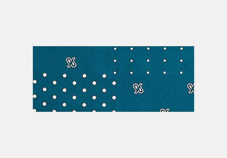 Horse And Carriage Dot Print Silk Bandana