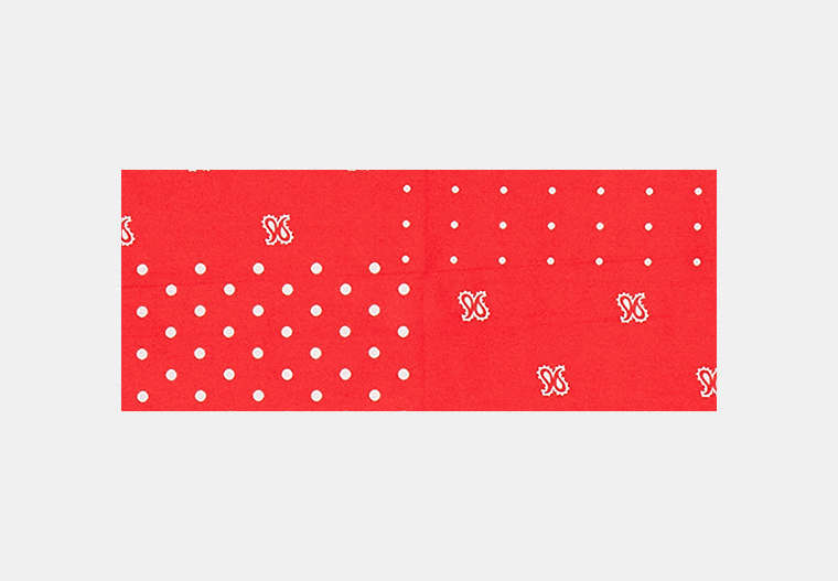 Horse And Carriage Dot Print Silk Bandana