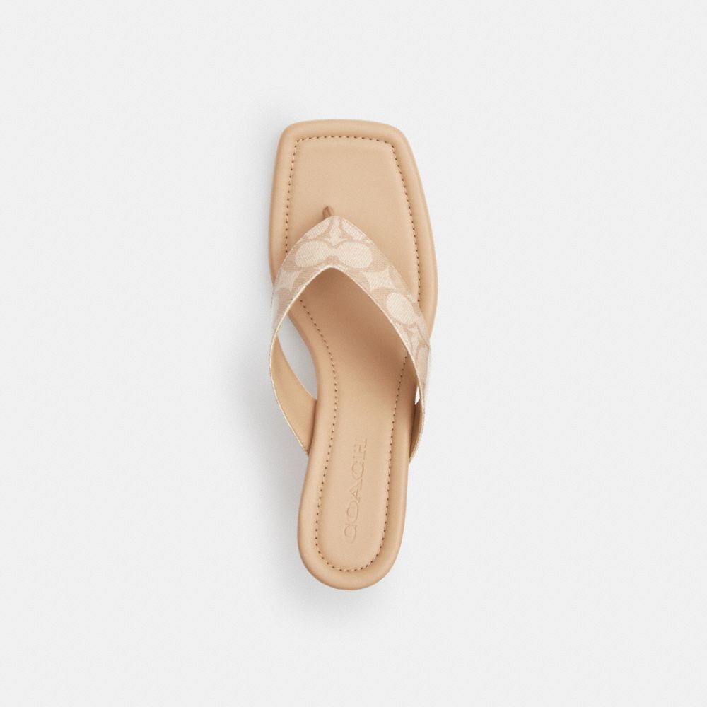 Kitten Heel In Signature Canvas