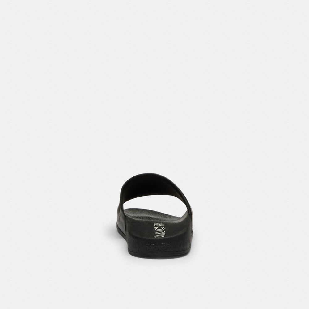 Pool Slide With Sketch Print