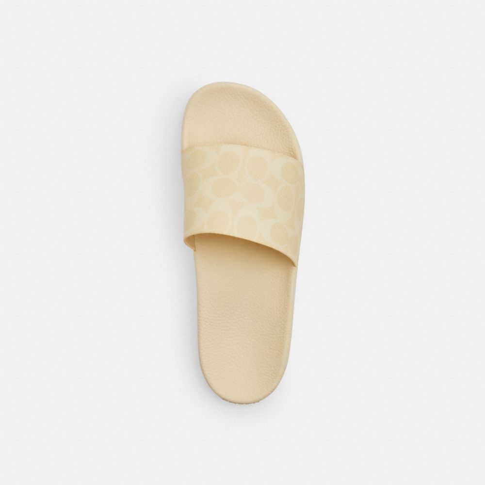 Udele Sport Slide In Signature Canvas